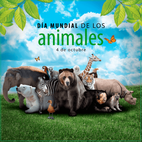 día mundial de los animales.png