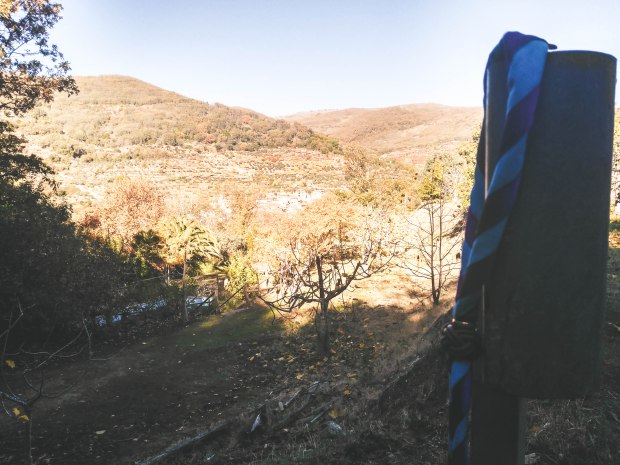 IMG_20171126_123254-3