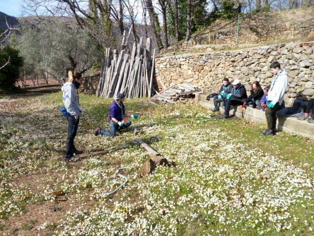 03DC45AA-D7C8-4A58-A689-64649DC914F0