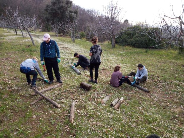 889B5D2F-331C-45F4-B346-94E52E3C43E4