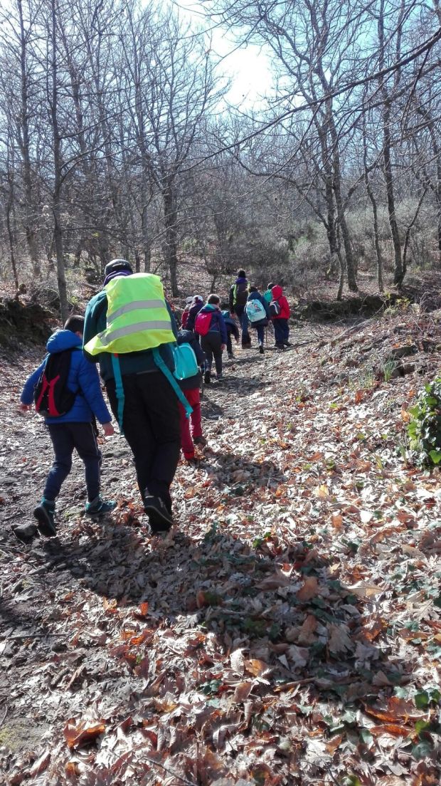 9E942519-6094-4165-9DC8-86C0B423057D